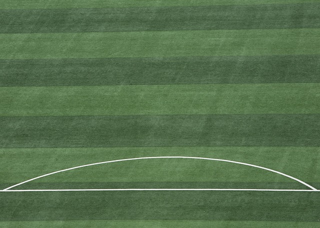 变动中寻找 变动中寻找