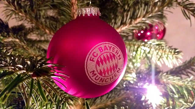 中国马术专 中国马术专