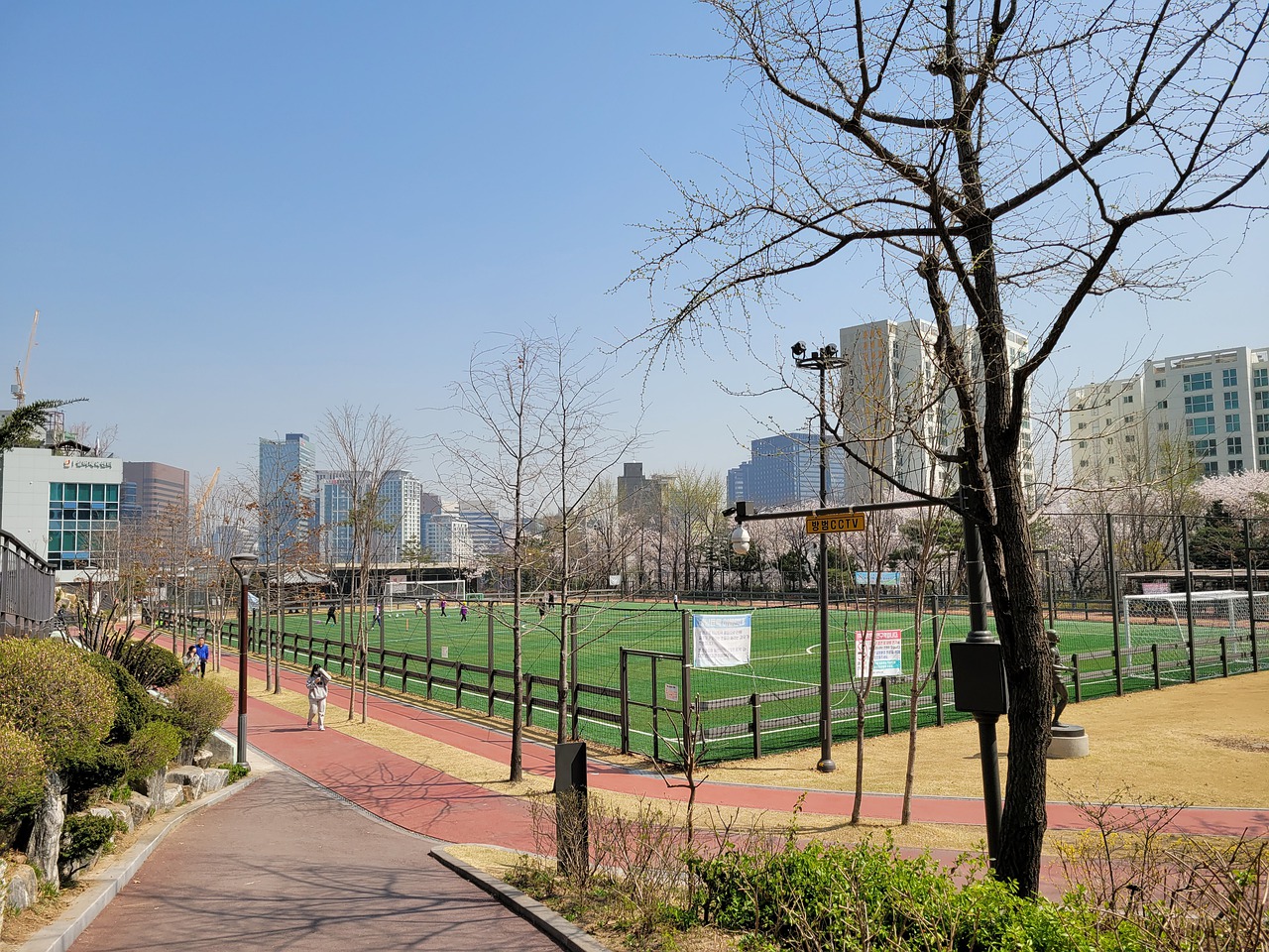 术和稳定的 术和稳定的