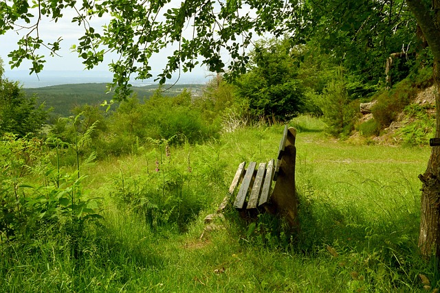 童奖的最大 童奖的最大