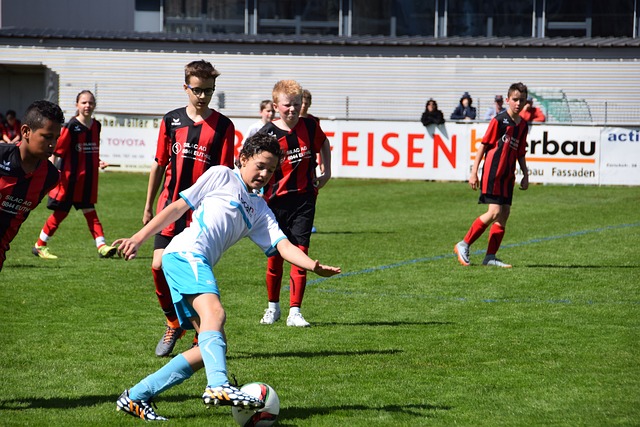 多新变化 多新变化