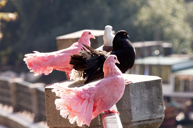 这一瞬间的 这一瞬间的