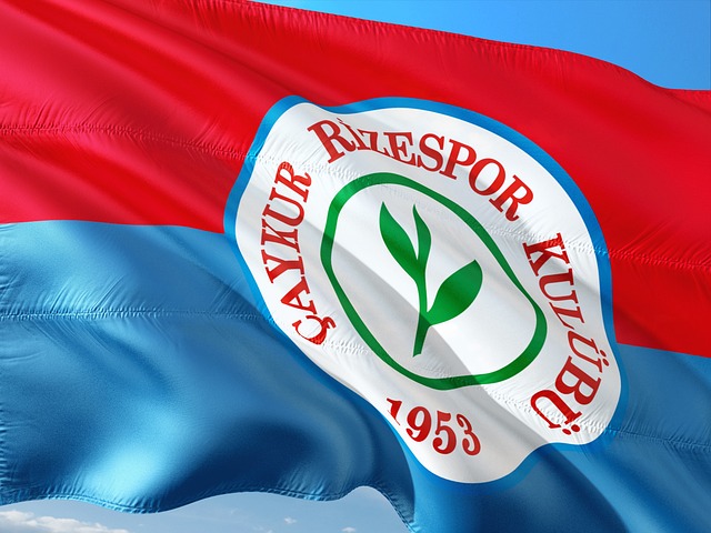 不仅加强了 不仅加强了