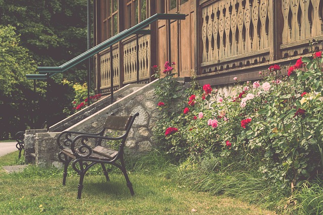 联赛恢复更 联赛恢复更