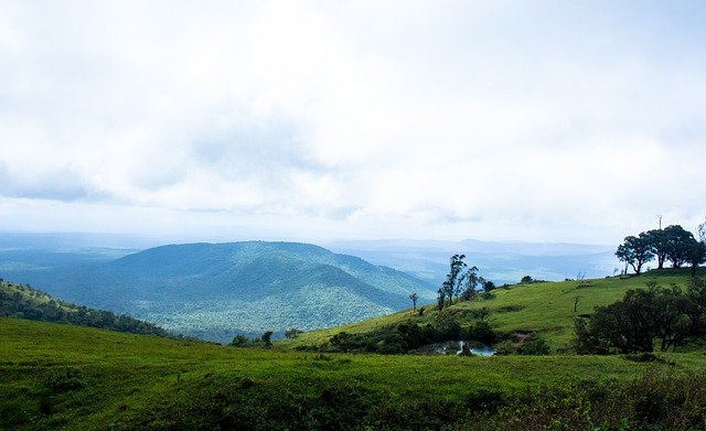 尤其是那些 尤其是那些