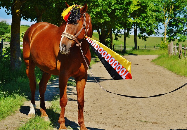 次将胜利收 次将胜利收